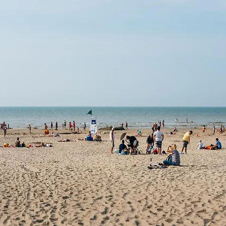 In Near Beaches, Cleaning Included
